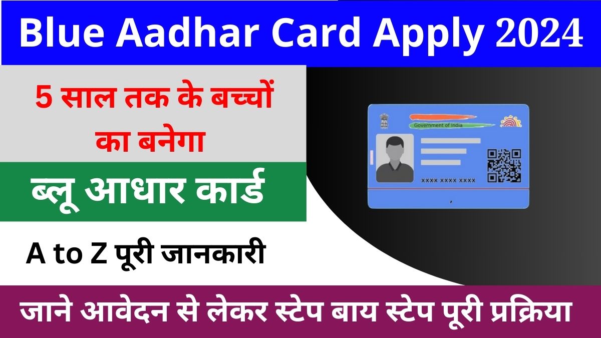 Blue Aadhaar Card 2024